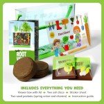 Root Viewer Kit for Kids - Easter Gifts - Grow Your Own Plant for Boys & Girls - Science STEM Toy & Craft Growing Kits for Ages 4-8 Birthday Gifts for Boy, Girl 4, 5, 6, 7, 8, Year Old - Gardening Toy