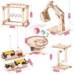 STEM Science Kits for Kids Ages 8-12 5-7, Wood Building Crafts Kits for Boys 6-8 8-10, STEM Toys for Boys Age 8-12 6 7 10 11 13 Years Old Gifts, Engineering Experiment Projects, 3D wooden Puzzles 8-13