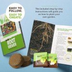 Root Viewer Kit for Kids - Easter Gifts - Grow Your Own Plant for Boys & Girls - Science STEM Toy & Craft Growing Kits for Ages 4-8 Birthday Gifts for Boy, Girl 4, 5, 6, 7, 8, Year Old - Gardening Toy