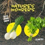 Root Viewer Kit for Kids - Easter Gifts - Grow Your Own Plant for Boys & Girls - Science STEM Toy & Craft Growing Kits for Ages 4-8 Birthday Gifts for Boy, Girl 4, 5, 6, 7, 8, Year Old - Gardening Toy