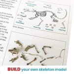 hand2mind Animal Science Kit for Kids 8-12, Kids Science Kit with Fact-Filled Guide, Learn About Animal Biology and Dissect Owl Pellets, STEM Toys, 10 Science Experiments