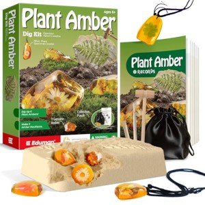 EDUMAN Amber Dig Kit - 6 Artificial Plant Resin Specimens, Biology Fossil Excavation Set with Natural Amber, STEM Inspired Educational Toy for Kids Ages 6-12, Birthday Easter Gift for Boys & Girls