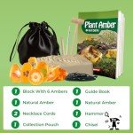 EDUMAN Amber Dig Kit - 6 Artificial Plant Resin Specimens, Biology Fossil Excavation Set with Natural Amber, STEM Inspired Educational Toy for Kids Ages 6-12, Birthday Easter Gift for Boys & Girls