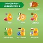 EDUMAN Amber Dig Kit - 6 Artificial Plant Resin Specimens, Biology Fossil Excavation Set with Natural Amber, STEM Inspired Educational Toy for Kids Ages 6-12, Birthday Easter Gift for Boys & Girls