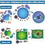 VercanMonth 2 Set Giant Felt Animal and Plant Cell Anatomy Model Kits Early Biology Cell Model Life Science Toys Animal Plant Bacteria Science Kit for Boys Girls Classroom Educational Learning