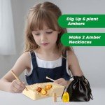 EDUMAN Amber Dig Kit - 6 Artificial Plant Resin Specimens, Biology Fossil Excavation Set with Natural Amber, STEM Inspired Educational Toy for Kids Ages 6-12, Birthday Easter Gift for Boys & Girls