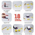 Teenii STEM Electricity & Magnetism Kit - Electromagnetism Experiments for Kids Age 8-16