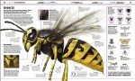 Knowledge Encyclopedia: The World as You've Never Seen it Before (DK Knowledge Encyclopedias)