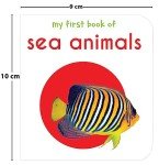 My First Library: Boxset of 10 Board Books for Kids