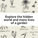 Up in the Garden and Down in the Dirt: (Nature Book for Kids, Gardening and Vegetable Planting, Outdoor Nature Book) (Over and Under)