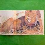 The Lion & the Mouse (Caldecott Medal Winner)