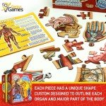 Human Anatomy Kids Floor Puzzle - Dr Livingston Jr's 100-Piece Full Body Jigsaw Puzzle - 4 FT Medically Accurate Floor Puzzles for Kids Ages 6-8, 4-8, 8-10 - Educational Toys for Children, Toddlers