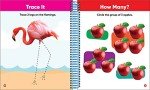 Brain Games Wipe-Off - Learn to Write: Numbers (Kids Ages 3 to 6)