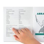 Italian for Kids: First Readers Box Set – 10 Beginning Readers with Online Audio | Build Confidence with Italian Words | Ages 3-8 by Language Together