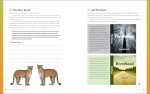 Dyslexia Tools Workbook for Teens: 120 Exercises to Improve Reading Skills (Learn to Read for Kids with Dyslexia)