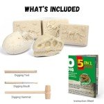 Dinosaur Fossil Digging Kit for Kids, 5-in1 Dinosaur Skeleton Dig Kit for Boys and Girls Age 6+, Science Educational Dinosaur Toys for Kids, Christmas Birthday Gift for Kids 6 7 8 9 Years Old