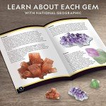 NATIONAL GEOGRAPHIC Mega Gemstone Dig Kit – Dig Up 15 Real Gemstones and Crystals, Science Kit for Kids, Gem Digging Kit, Gift for Girls and Boys, Mining Kit, Rock Collection