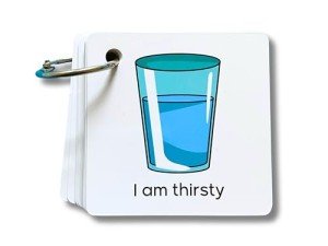 Special Needs Communication Cards for Non Verbal Children and Adults with Autism, Speech Delay Visual aid PECS