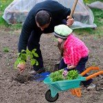 Qtioucp Kids Gardening Tools Set with Wheelbarrow Outside Outdoor Toys Backyard Garden Play Educational STEM Learning for Toddlers Boys Girls 3-8 (Green)