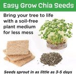 Creativity for Kids Build and Grow Tree House Craft Kit - Treehouse Playset Toy for Boys and Girls, Classic Toys for Kids