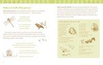 The Nature Connection: An Outdoor Workbook for Kids, Families, and Classrooms