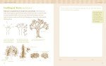 The Nature Connection: An Outdoor Workbook for Kids, Families, and Classrooms