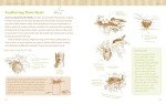 The Nature Connection: An Outdoor Workbook for Kids, Families, and Classrooms