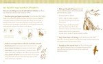 The Nature Connection: An Outdoor Workbook for Kids, Families, and Classrooms