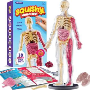 Human Anatomy Squishy Body Model - Science Kits for Kids Ages 4-8 - STEM Toys for 4 5 6 7 8 Year Old Boy Birthday Gift - Learning Educational Toys for Ages 5-7 Boys - Easter Gifts - Skeleton Parts