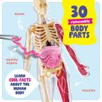 Human Anatomy Squishy Body Model - Science Kits for Kids Ages 4-8 - STEM Toys for 4 5 6 7 8 Year Old Boy Birthday Gift - Learning Educational Toys for Ages 5-7 Boys - Easter Gifts - Skeleton Parts