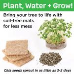 Creativity for Kids Build and Grow Tree House Craft Kit - Treehouse Playset Toy for Boys and Girls, Classic Toys for Kids