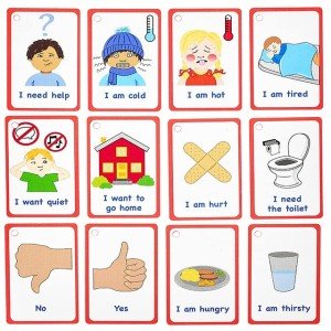 My Essential Needs Cards 12 Flash Cards for Visual aid Special Ed, Speech Delay Non Verbal Children and Adults with Autism or Special Needs