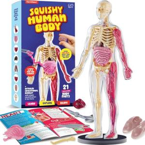 Human Anatomy Squishy Body Model - Science Kits for Kids Ages 4-8 - STEM Toys for 4 5 6 7 8 Year Old Boy Birthday Gift - Learning Educational Toys for Ages 5-7 Boys - Easter Gifts - Skeleton Parts