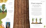 The Secret World of Plants: Tales of More Than 100 Remarkable Flowers, Trees, and Seeds (DK Treasures)