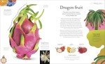 The Secret World of Plants: Tales of More Than 100 Remarkable Flowers, Trees, and Seeds (DK Treasures)