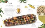 The Secret World of Plants: Tales of More Than 100 Remarkable Flowers, Trees, and Seeds (DK Treasures)