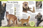 First Animal Encyclopedia: A First Reference Guide to the Animals of the World (DK First Reference)