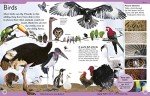 First Animal Encyclopedia: A First Reference Guide to the Animals of the World (DK First Reference)