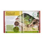 Children's Encyclopedia of Animals: Take a Walk on the Wild Side! (Arcturus Children's Reference Library, 3)