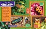 Ultimate Bugopedia, 2nd Edition: The Most Complete Bug Reference Ever (National Geographic Kids)