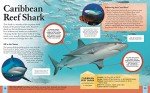 Children's Encyclopedia of Sharks (Arcturus Children's Reference Library)
