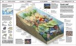 Knowledge Encyclopedia: The World as You've Never Seen it Before (DK Knowledge Encyclopedias)
