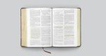 ESV Men's Study Bible (TruTone, Brown/Cordovan, Portfolio Design)