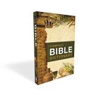 Zondervan Compact Bible Dictionary: A-to-Z Pocket Dictionary with Over 5,000 Entries (Classic Compact Series)