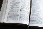 NIV, Foundation Study Bible, Leathersoft, Brown, Red Letter