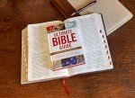 Ultimate Bible Guide: A Complete Walk-Through of All 66 Books of the Bible / Photos Maps Charts Timelines (Ultimate Guide)