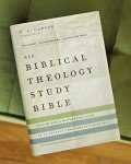 NIV, Biblical Theology Study Bible (Trace the Themes of Scripture), Hardcover, Comfort Print: Follow God’s Redemptive Plan as It Unfolds throughout Scripture