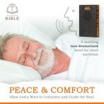 Talking Bible - Electronic Holy Bible Audio Player in English for Seniors, Kids and The Blind, Solar Powered & USB Rechargeable, ESV (English Standard Version), Black