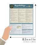 Psychology Terminology: a QuickStudy Laminated Reference Guide (QuickStudy Academic)