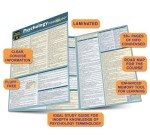 Psychology Terminology: a QuickStudy Laminated Reference Guide (QuickStudy Academic)